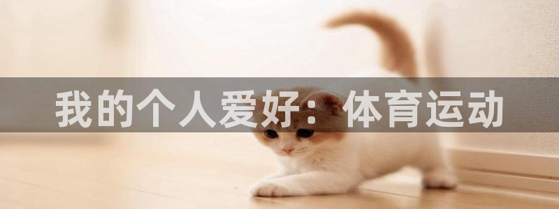 哈哈体育下载