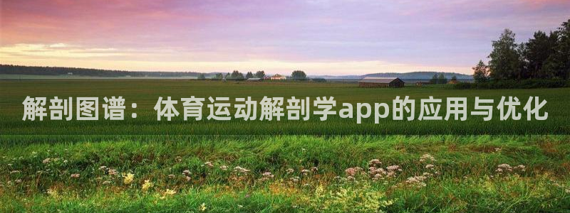 哈哈体育十年