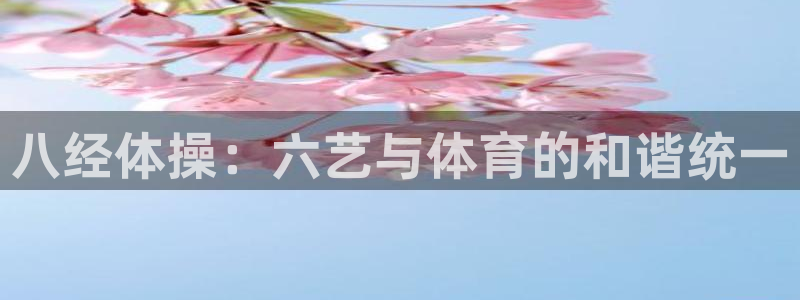 哈哈体育十年