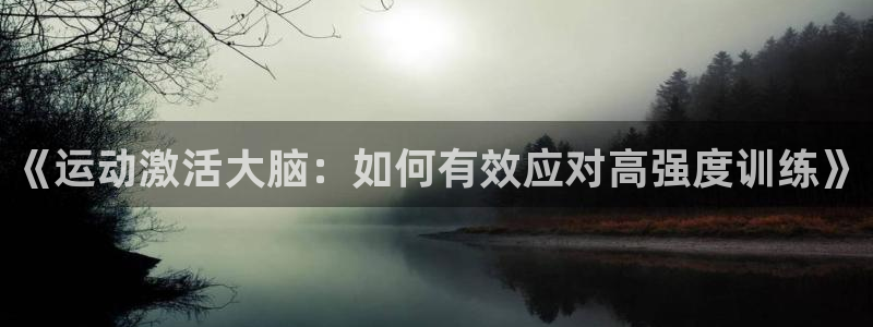 哈哈体育十年