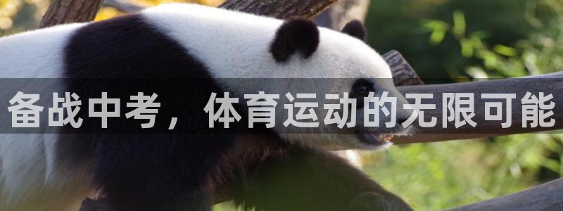 哈哈体育下载：备战中考，体育运动的无限可能