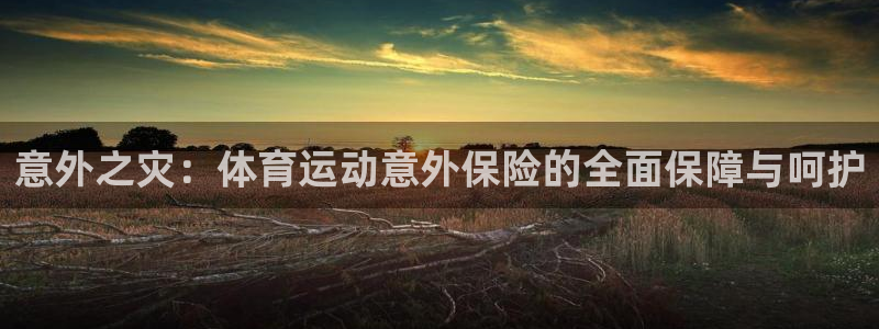 哈哈体育十年