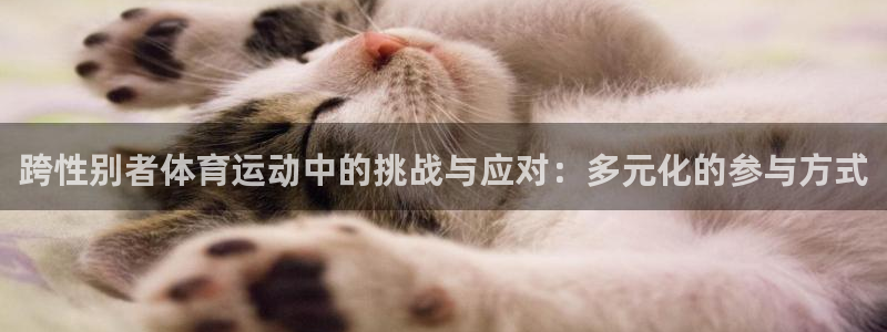 哈哈体育下载：跨性别者体育运动中的挑战与应对：多元化的参与方式
