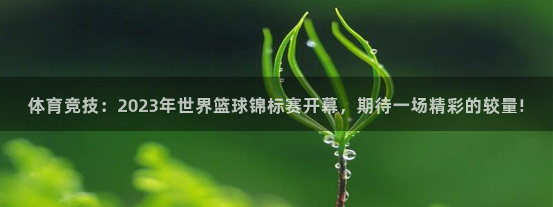 哈哈体育：体育竞技：2023年世界篮球锦标赛开幕，期待一场精彩的较量!
