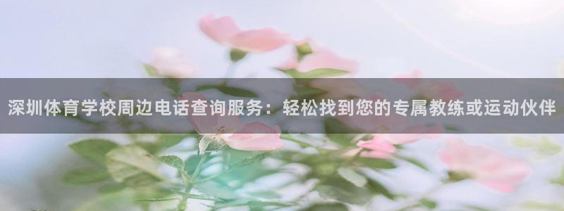 哈哈体育：深圳体育学校周边电话查询服务：轻松找到您的专属教练或运动伙伴