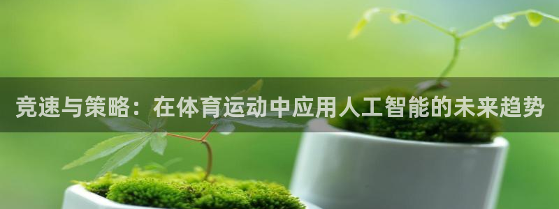 哈哈体育十年：竞速与策略：在体育运动中应用人工智能的未来趋势