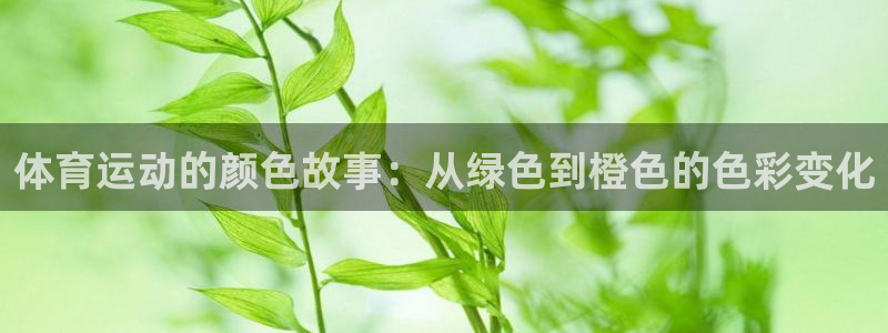 哈哈体育：体育运动的颜色故事：从绿色到橙色的色彩变化