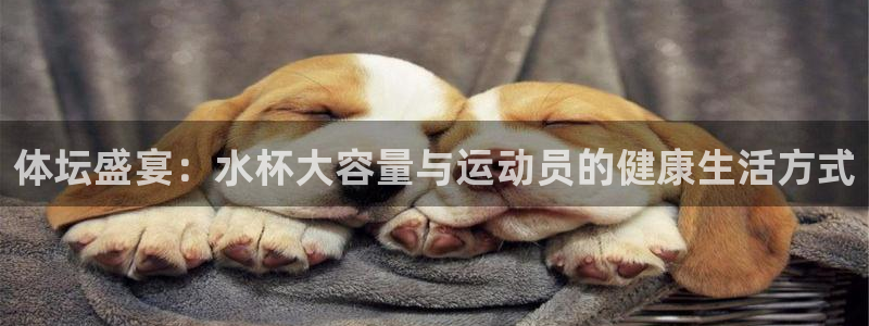 哈哈体育：体坛盛宴：水杯大容量与运动员的健康生活方式