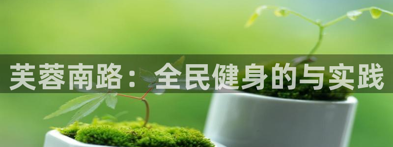 哈哈体育下载