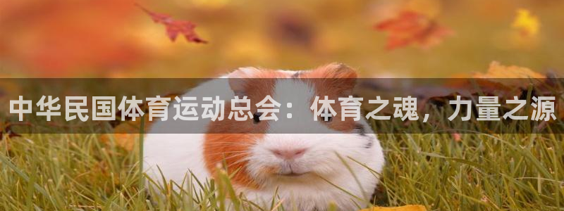 哈哈体育：中华民国体育运动总会：体育之魂，力量之源