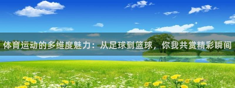 哈哈体育十年：体育运动的多维度魅力：从足球到篮球，你我共赏精彩瞬间