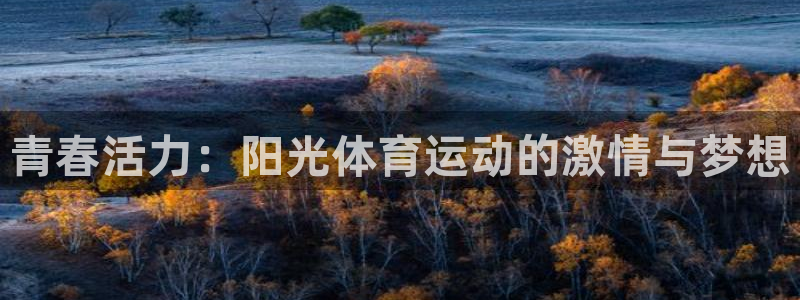 哈哈体育十年：青春活力：阳光体育运动的激情与梦想
